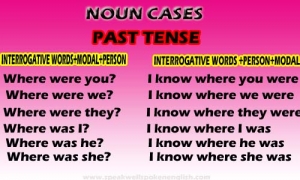 Noun cases past tense | Interrogative words | Speak well spo